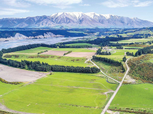 REINZ Rural Property Report Shows Steady Market Into 2026