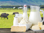 Dairy exports have led a rise in the value of total good exports.