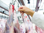 Supermarket plans $54 million meat plant
