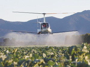 EPA proposes ban on weedkiller Chlorthal-Dimethyl