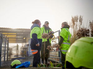 DairyNZ thanks farm staff