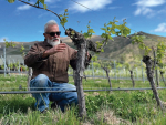 Reshaping the Vine: Marco Simonit&#039;s &#039;gentle pruning&#039; aiding vine longevity