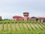 The iconic Highfield winery, in Marlborough. Now home to Highfield TerraVin Ltd.