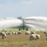 New irrigation head pledges sustainability