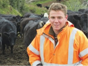 Treating grass like dollars in Hawkes Bay