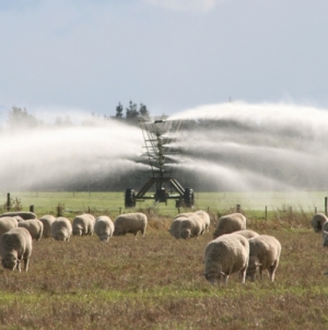 Irrigation boost gets thumbs up