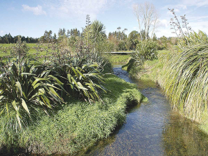 Proposed freshwater rules around Otago are causing farmers angst.