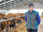 Breeding the Ultimate Robot-Ready Jersey Herd