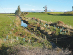 Riparian planting and fencing around waterway keep stock and pollutants out.