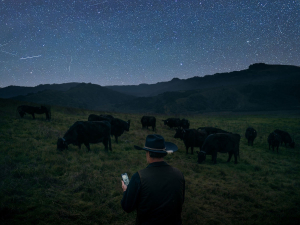 Halter Unlocks Remote Beef Farming with Direct-to-Satellite Smart Collar Technology