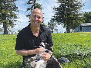 Undersowing into existing pasture is a cost-effective method, says Agricom product development manager, Allister Moorhead.