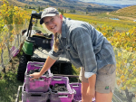 Nina Downer - Young Viticulturist of the Year