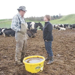 Trials show love of molasses