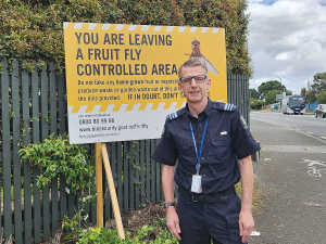 Queensland Fruit Fly Movement Controls Lifted in Mt Roskill