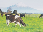 New research has found close to two thirds of Kiwis don't support foreign companies buying New Zealand farms to offset their emissions.