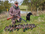 Wet Summer Sets Stage for Strong Duck Hunting Season in Lower North Island