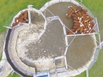 Cattleyards rank second on ACC&#039;s list of dangerous places on farms.