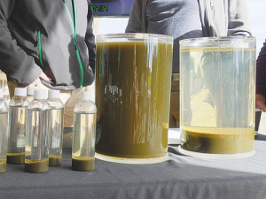Samples of dairy effluent on show at the launch of the ClearTech system show how suspended solids precipitate out under the influence of a special coagulant. 