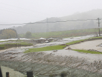 Flooding on the East Coast earlier this year. Photo Credit: Peter Andrew.