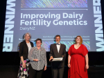 Hamilton Mayor Paula Southgate (left) presenting the Hamilton City Council Primary Industries Award to DairyNZ representatives Susanne Meier, Chris Burke and Claire Phyn at the annual Kudos Awards.