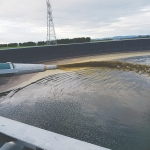 Crop farmers could do with cow poo