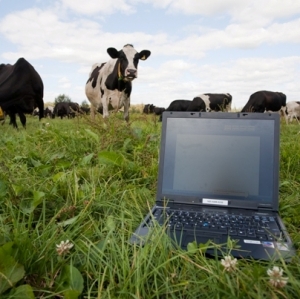 Rabobank calls for executive programme applicants