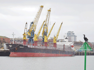 A file picture of MV Molat, caught up in the PKE shipment saga at Tauranga Port.