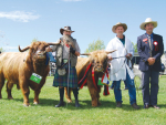 Highland cattle breeder Harry Prescott-Ballagh (left), with Reserve Champion Dundee of Berwick, Neil Hodgson with Breed Champion and Supreme of Breed winner Beal of Abberley and visiting judge Jason Sallier of Australia.