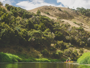 Farmers seeking end to riverbed litigation