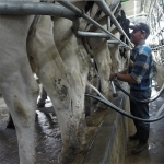 Farming in the high tropics