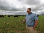 LIC has released a new development in its cloud-based herd management system, MINDA, to help Kiwi farmers unlock more value from cow wearable devices.