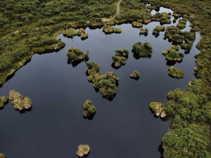 The grant will support community groups in restoring wetlands.