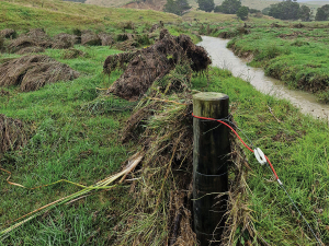 Top Māori farm faces costly rebuild after severe storm damage