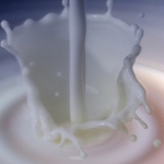 Commission starts milk price review