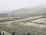 Sodden and wet: Some of the flood damage around Tokomaru. Photo Credit: Peter Andrew.